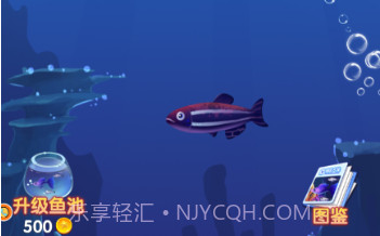 大鱼吞噬之路v3.4.17截图