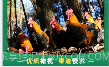 谷农生态v1.0.21截图