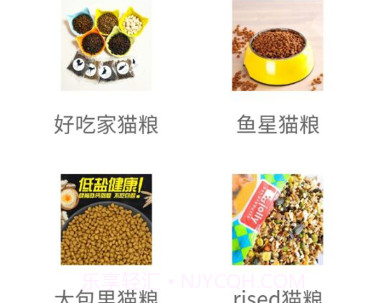 乐派新宠v1.0.17截图