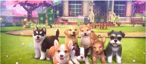 元气小狗appv1.0.19截图