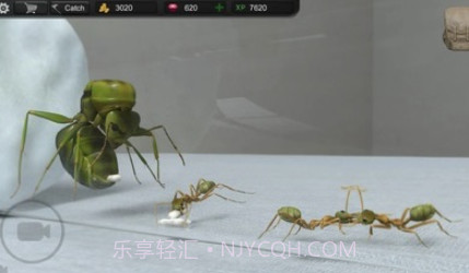 蚂蚁模拟大亨v2鐎瑰宕渧1.16截图