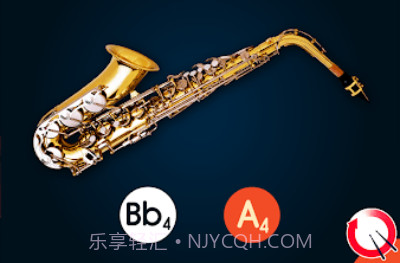 Master Saxophone Tunerv3.10.19截图