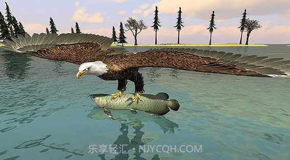 猎鹰模拟器v1.16截图