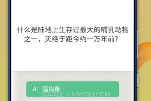 状元智慧多v1.0.19截图