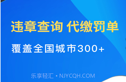 12123违章查询v5.25截图
