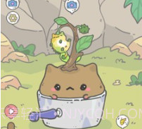 我的猫盆栽v0.1.28截图