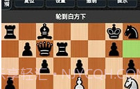 国际象棋下载官网免费v1.17截图