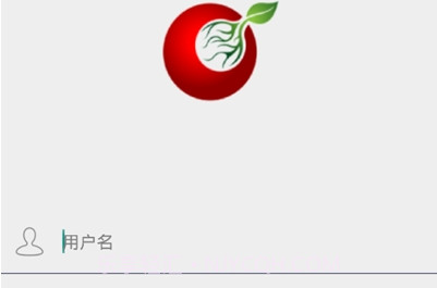 可可助手v2.20截图