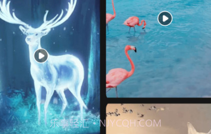 猫咪壁纸v1.22截图