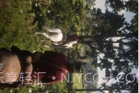 骑马狩猎模拟v1.21截图