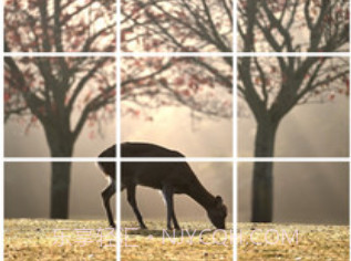 切图拼图制作v1.0.26截图