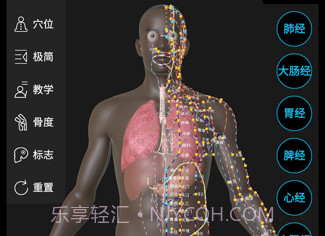 针灸大师v3.0.21截图
