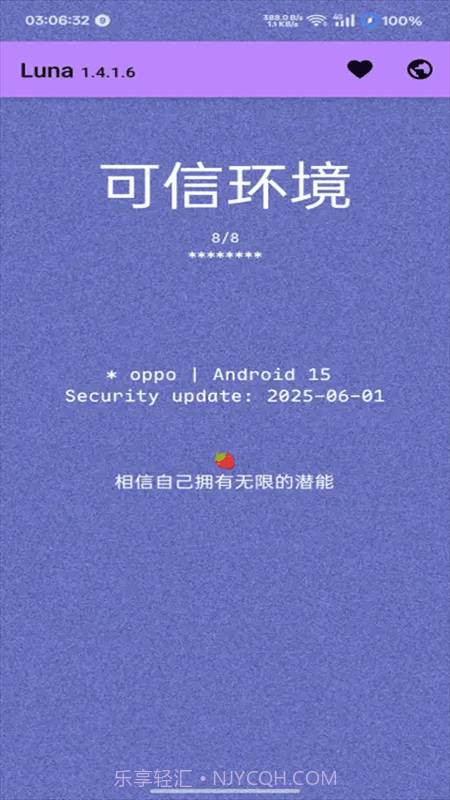 Luna环境检测工具1.4.1.9截图