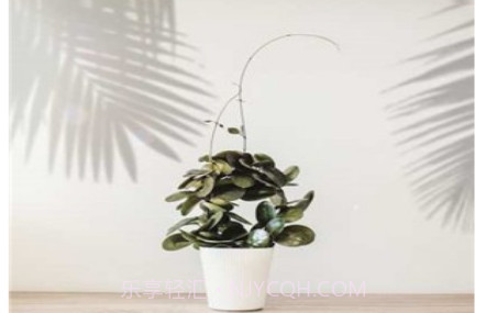 光影修图v1.0.26截图