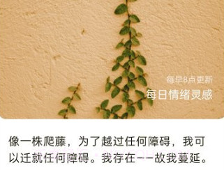 四季来电秀v1.0.21截图