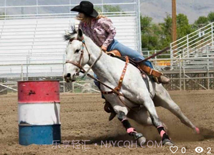 PonyPlace马匹交易v0.0.24截图