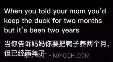 时空壶同传翻译v1.0.21截图