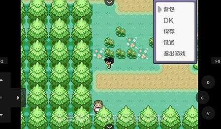 口袋妖怪燃之智v4.0.24截图