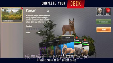 野生动物冲突v1.21截图