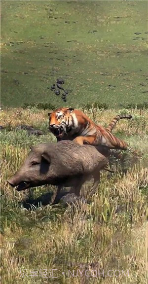 狂猎之王v1.0.30截图