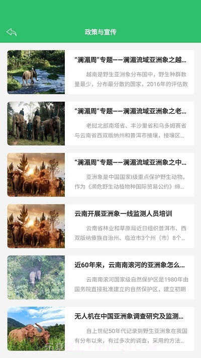 亚洲象预警截图1