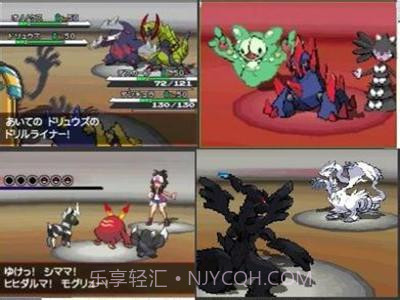 口袋妖怪黑2 中文版截图4