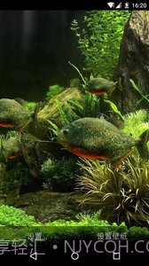 3D食人鱼：梦象动态壁纸截图2