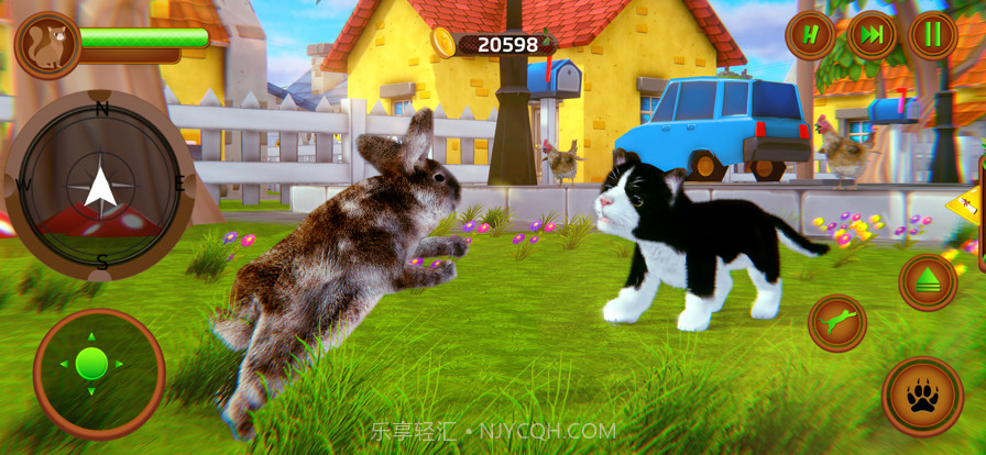 小的小猫我的可爱的猫截图4