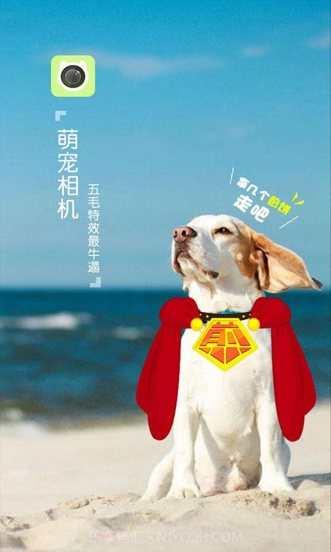 萌宠相机截图1 萌宠相机截图1