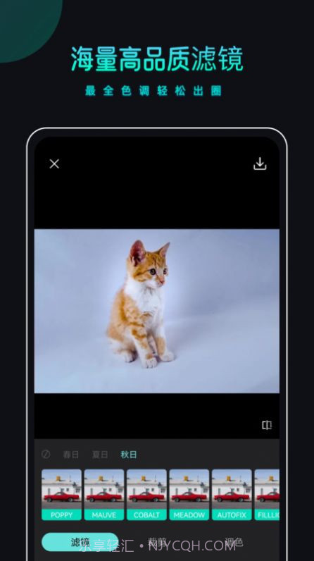 PicsDazz修图截图3 PicsDazz修图截图3