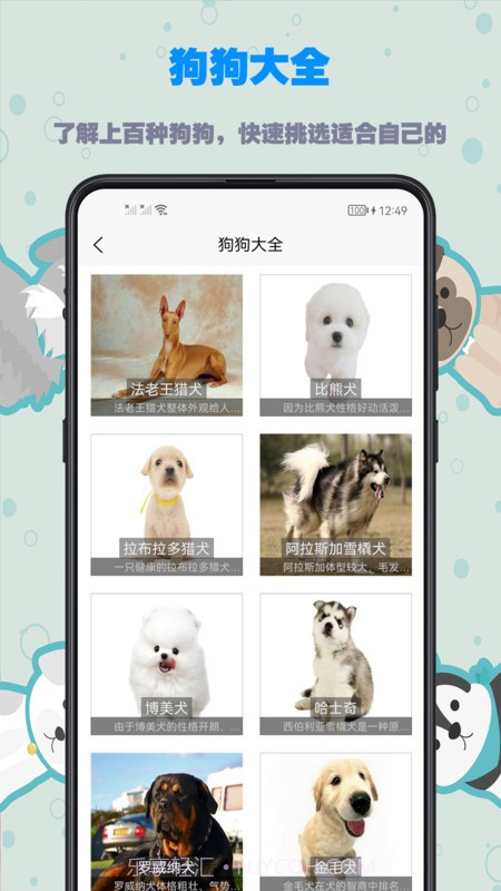 训狗教程截图3 训狗教程截图3