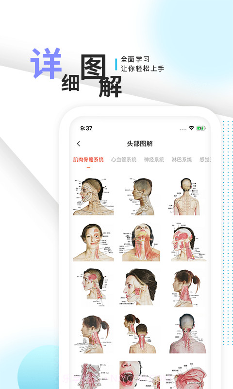 3d人体解剖学三维图谱截图3