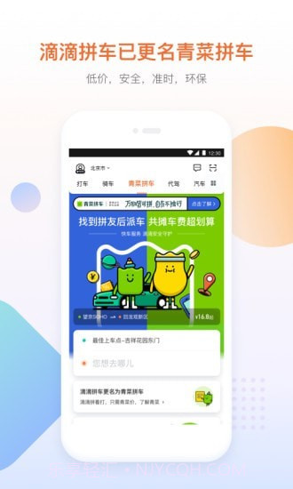 青菜拼车截图2 青菜拼车截图2