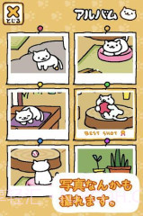 收集猫猫截图2 收集猫猫截图2