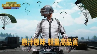 PUBG MOBILE India截图1 PUBG MOBILE India截图1