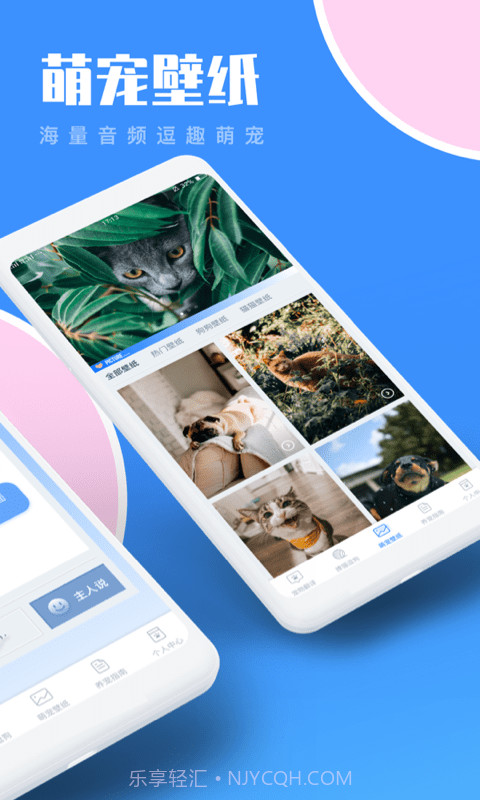 猫咪翻译助手截图3 猫咪翻译助手截图3