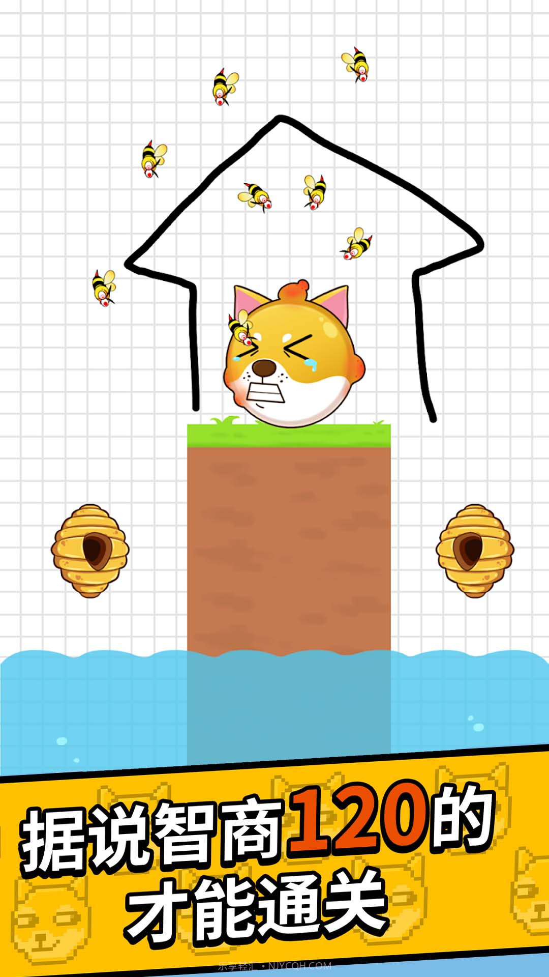 狗曰救救我截图4