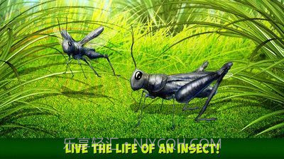 印度蝗虫模拟器汉化版截图2