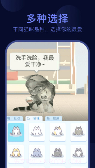 呼噜猫舍截图2