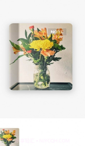 为知笔记本截图1