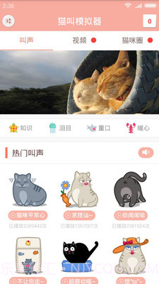 猫叫模拟器截图1 猫叫模拟器截图1