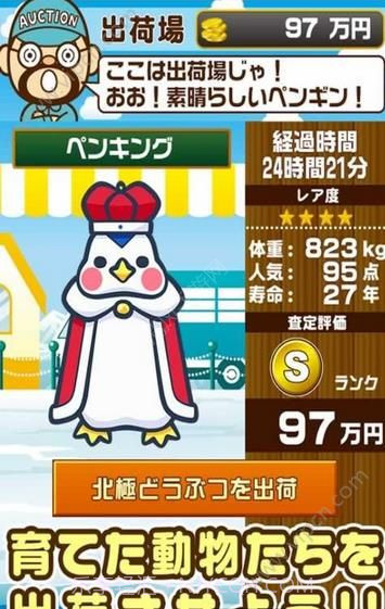 北极动物园九游版截图4