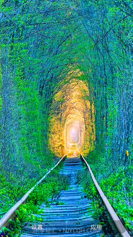 爱动态壁纸截图4 爱动态壁纸截图4