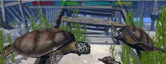 终极海豚模拟器截图3 终极海豚模拟器截图3