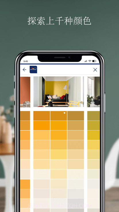焕色大师多乐士截图1