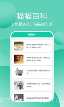 猫猫交流工具截图4