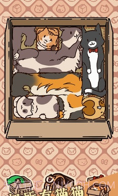 盒子猫截图3