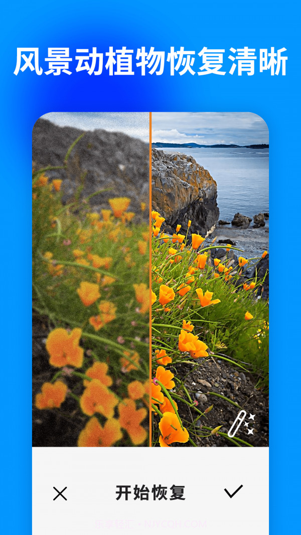 大白照片恢复助手截图4