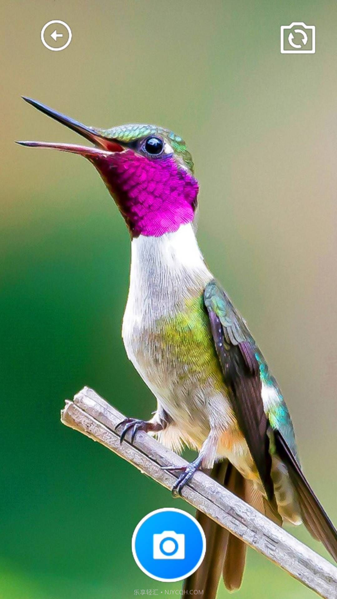 龙凤工具箱截图3 龙凤工具箱截图3