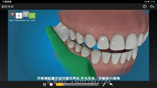 牙医解说大师截图4 牙医解说大师截图4